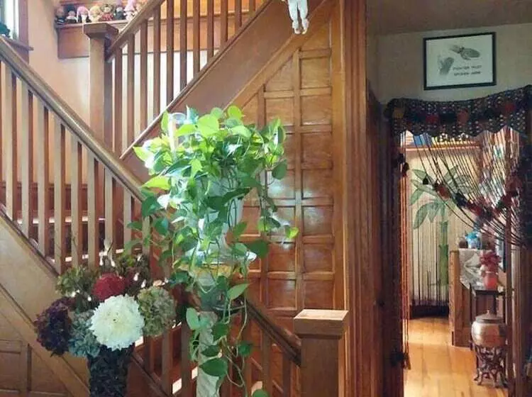 Hotelli Oasis Bed And Breakfast