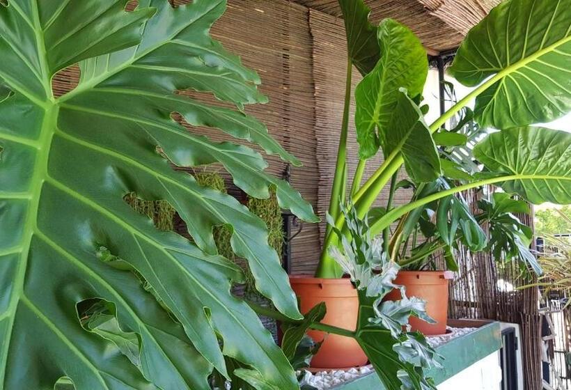 호텔 Posada Alpujarra Sol