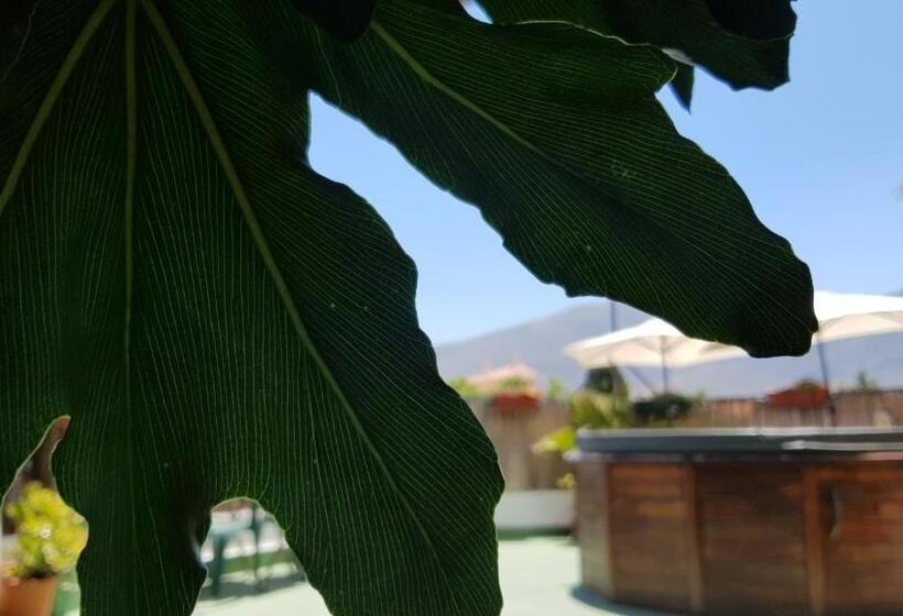 호텔 Posada Alpujarra Sol