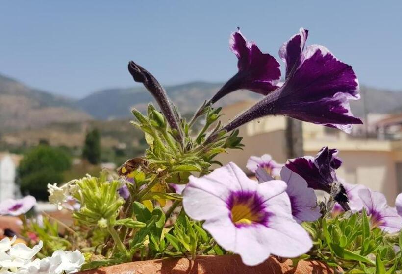 호텔 Posada Alpujarra Sol