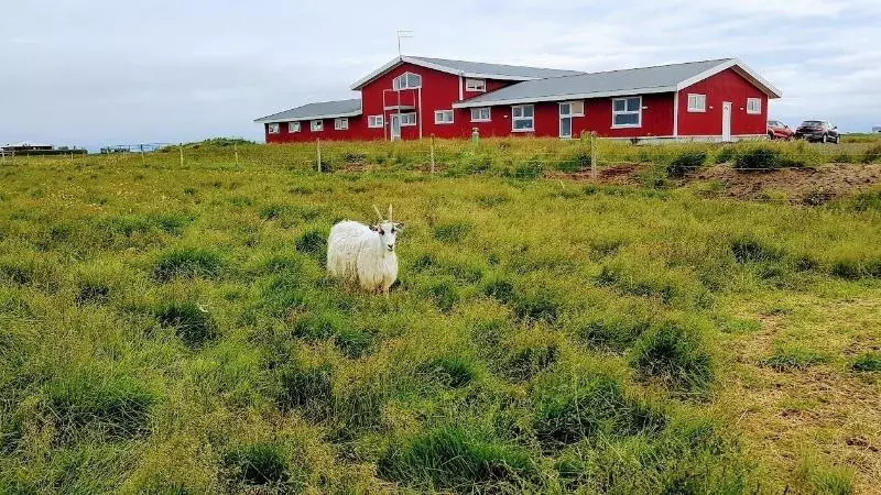 هتل Skalatjorn Guesthouse