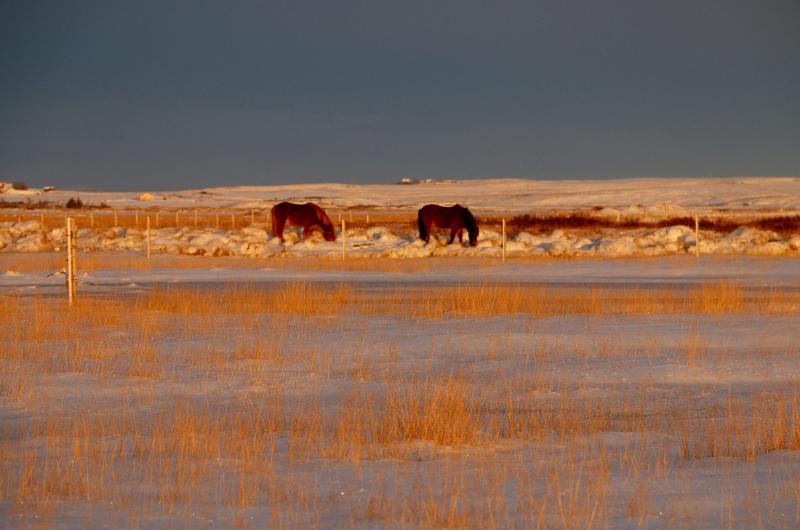 فندق Skalatjorn Guesthouse