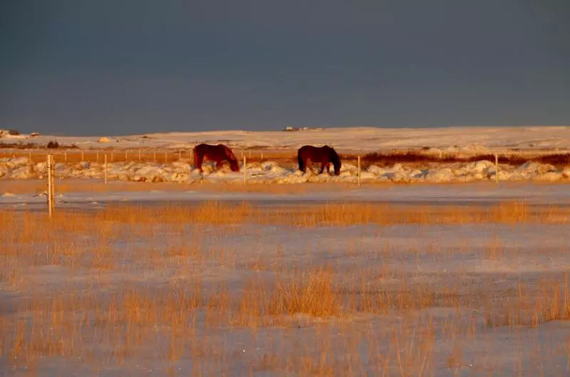 هتل Skalatjorn Guesthouse