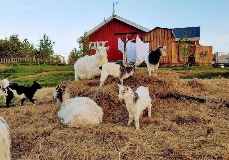 هتل Skalatjorn Guesthouse