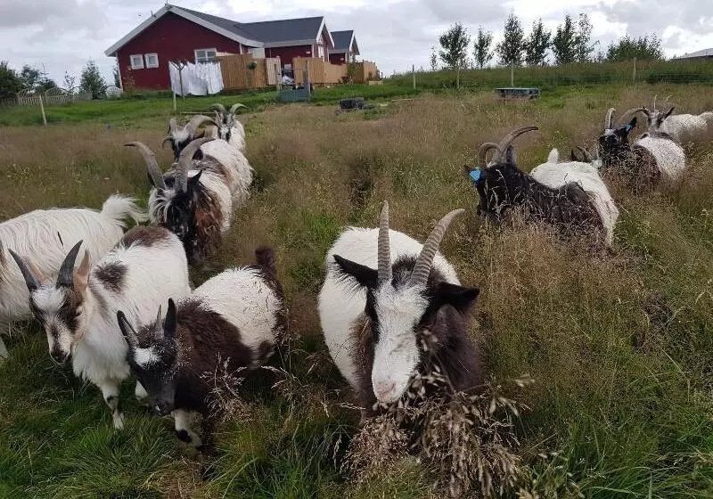 هتل Skalatjorn Guesthouse