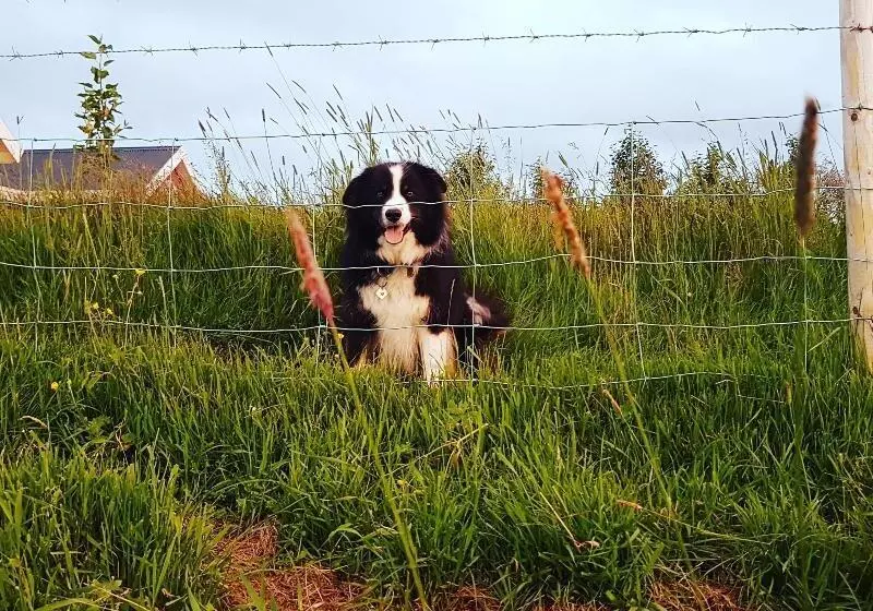 هتل Skalatjorn Guesthouse