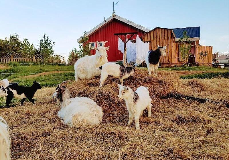 فندق Skalatjorn Guesthouse