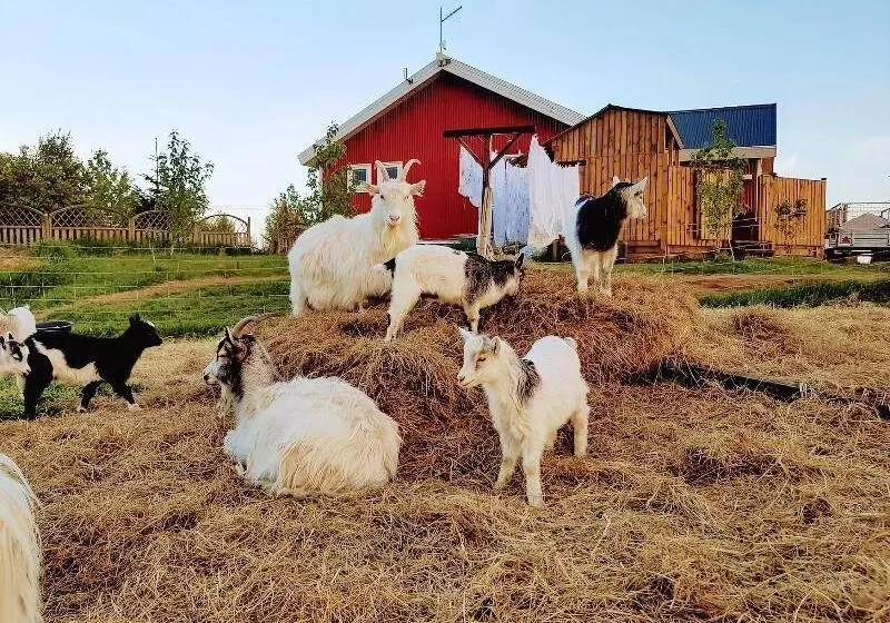 هتل Skalatjorn Guesthouse