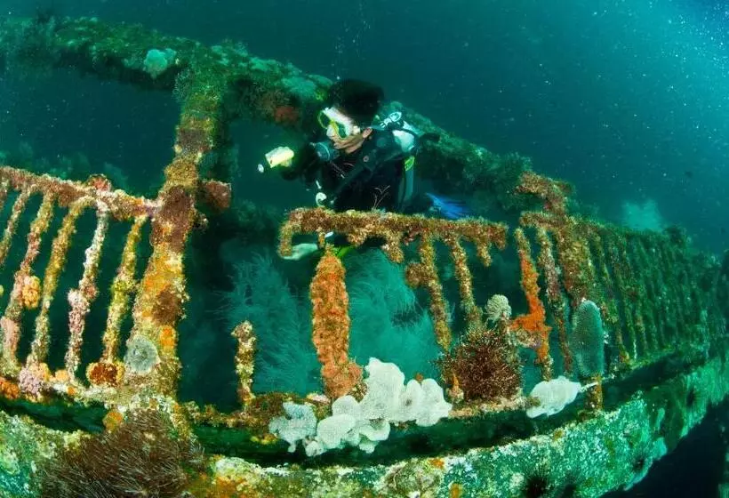 ホテル The Sharks Tail Dive Center