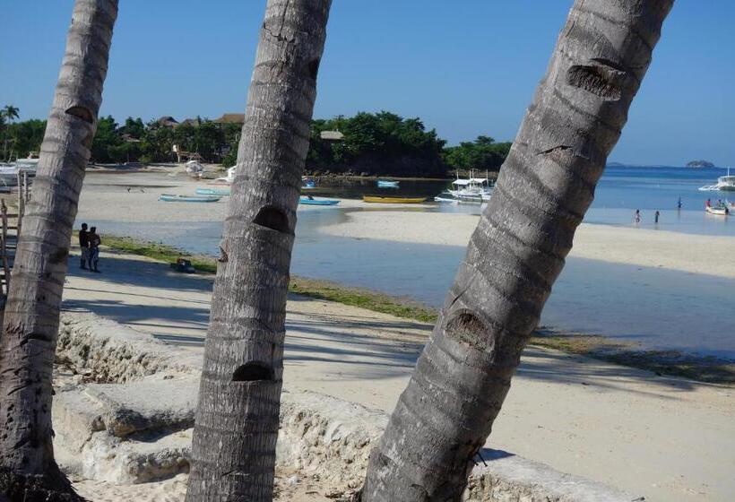 Otel The Sharks Tail Dive Center