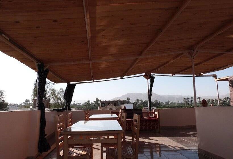 هتل Luxor Plaza House