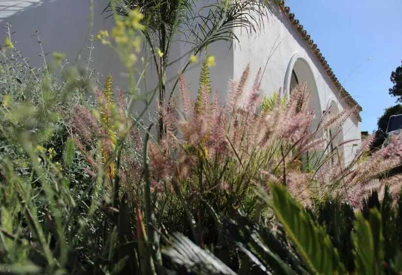 ホテル Molino De Saladilla