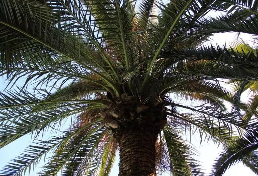 ホテル Molino De Saladilla