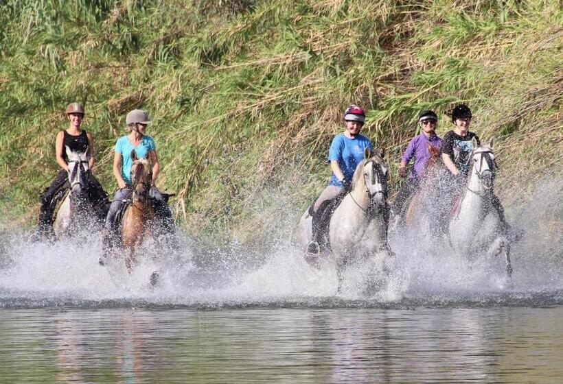 호텔 Molino De Saladilla