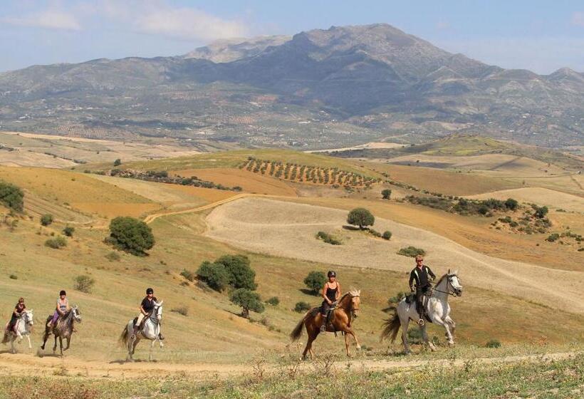 호텔 Molino De Saladilla