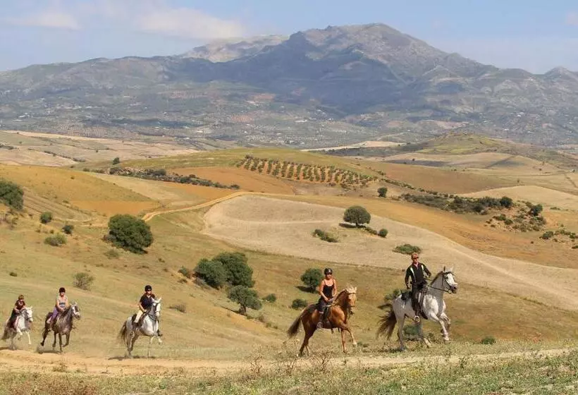 ホテル Molino De Saladilla