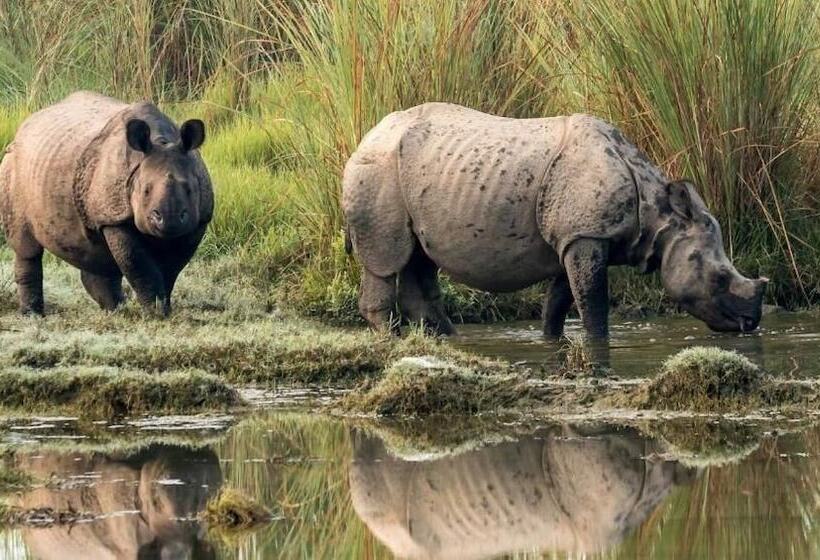 هتل Safari Wildlife Lodge & Camp