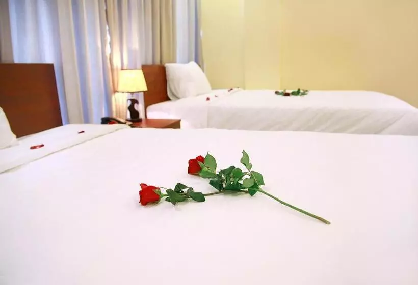 هتل Danang Classic