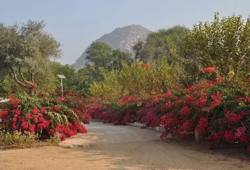 Achrol Bagh
