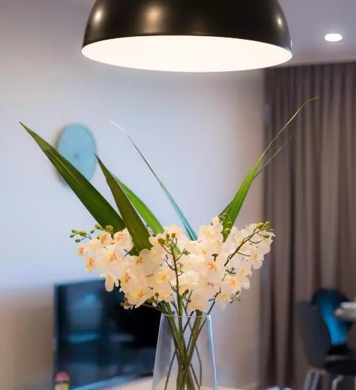 Airtrip Apartments At Woolloongabba