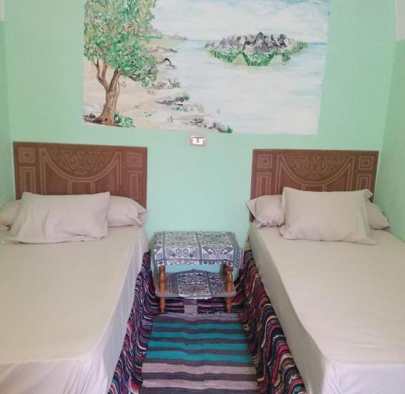 تختخواب و صبحانه Aswan Nubian House