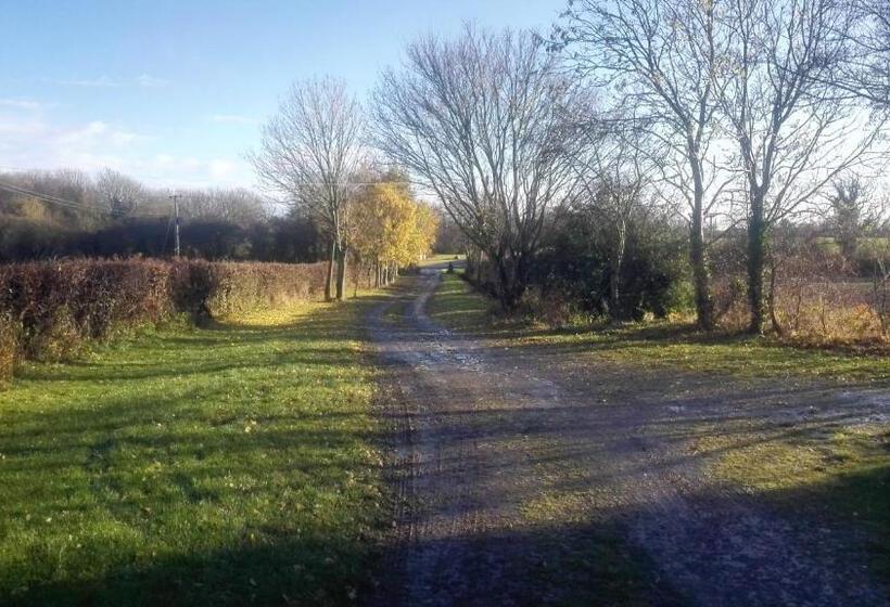 مبيت وإفطار Brampton Dales Farm