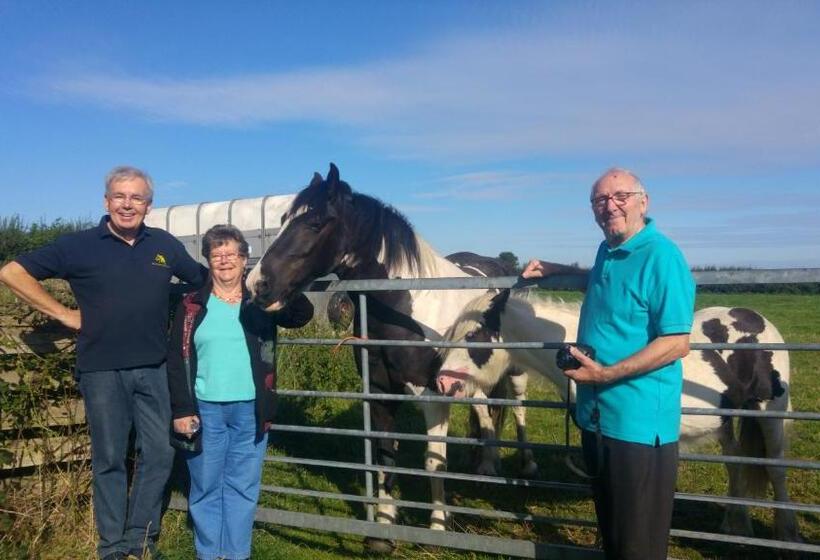 مبيت وإفطار Brampton Dales Farm