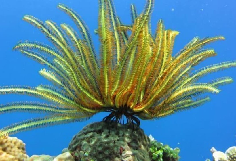 민박 Pranajaya Loka