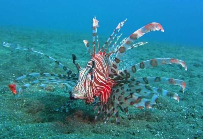 민박 Pranajaya Loka