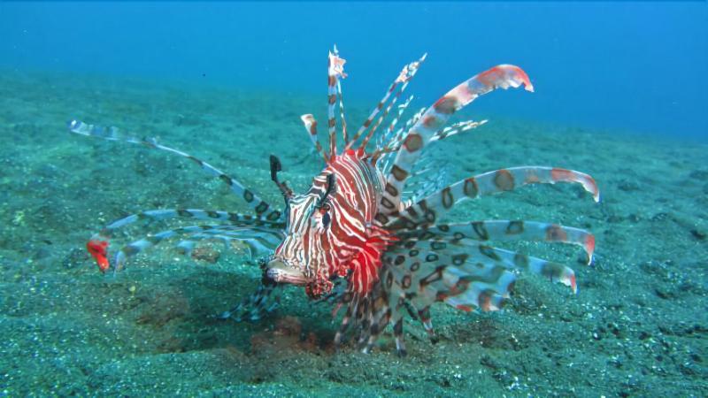 민박 Pranajaya Loka