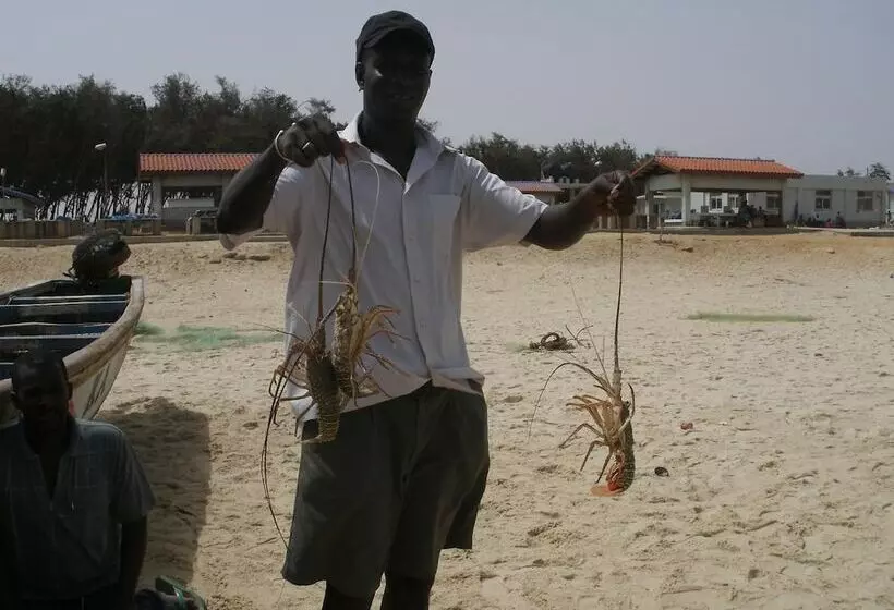 هتل Africa Roots