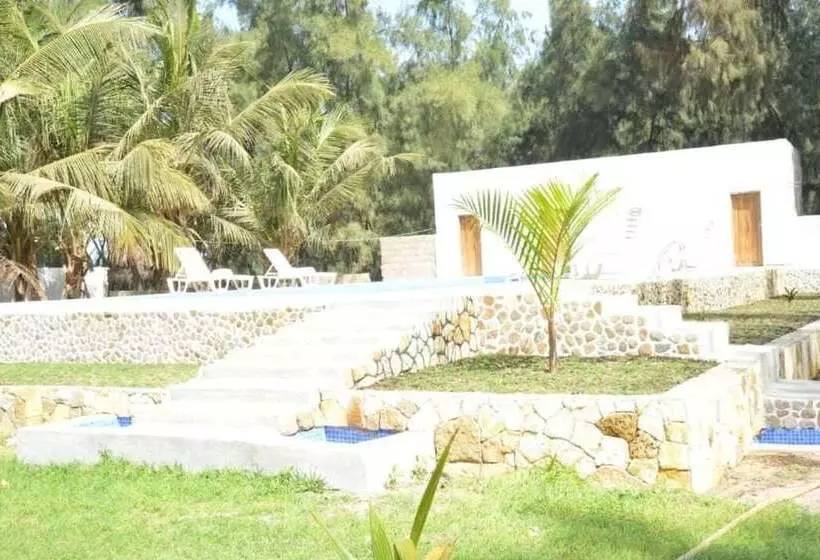 هتل Africa Roots