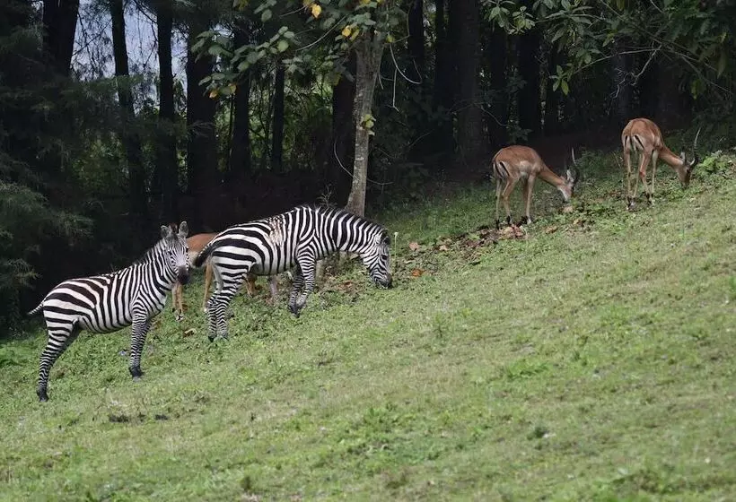ホテル Lake Bunyonyi Eco Resort