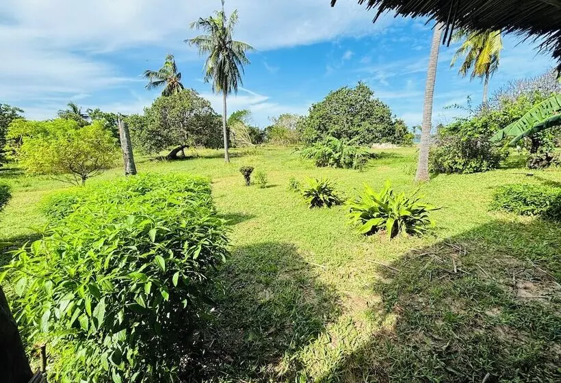 هتل Basecamp Mafía Island