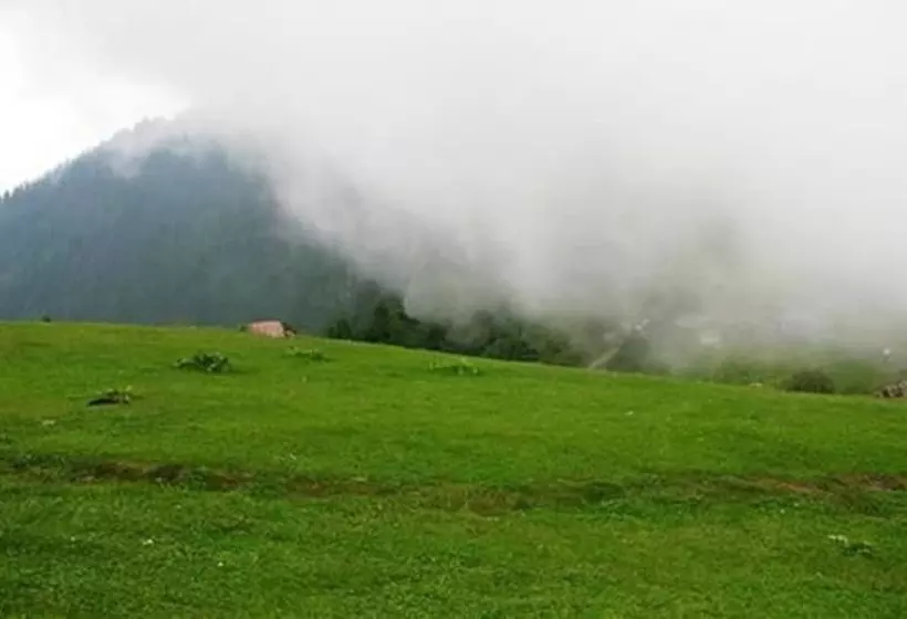 هتل  orash Lodges