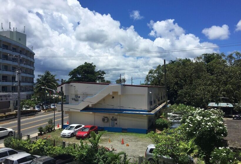 Отель Palau Central