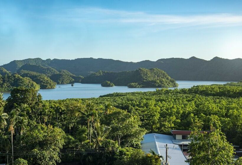 Отель Palau Central