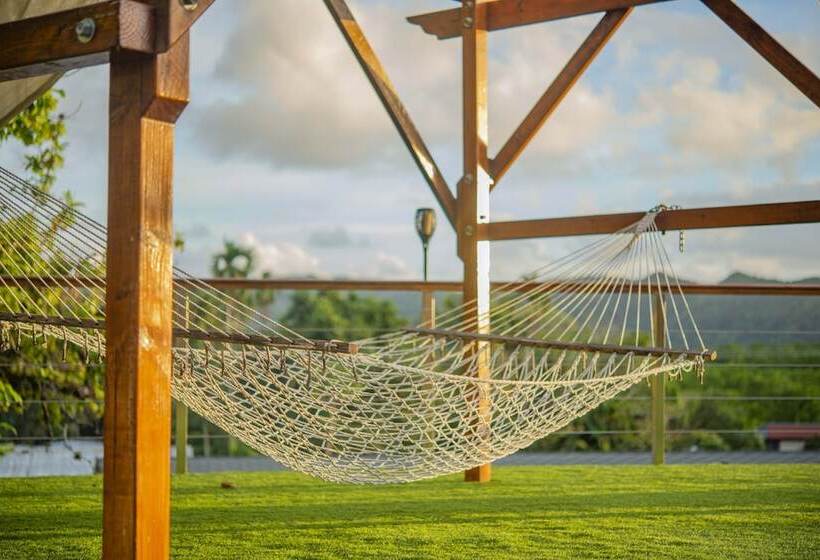 Отель Palau Central