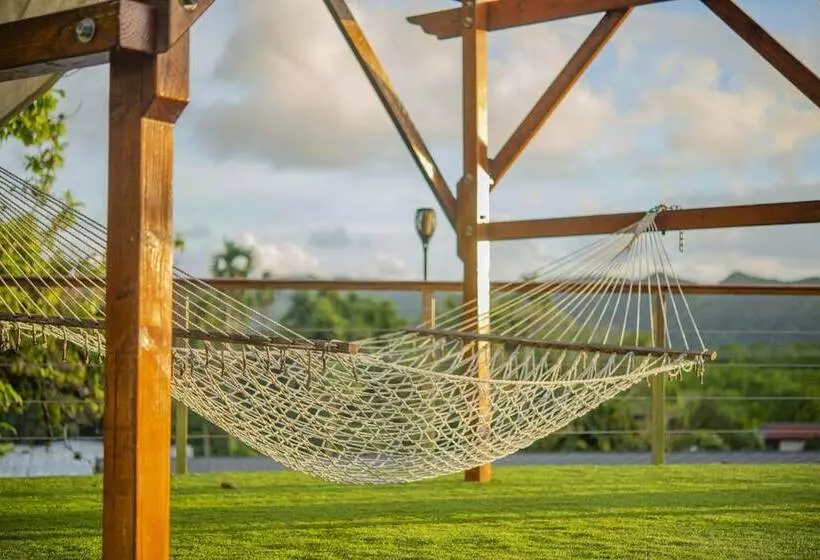 هتل Palau Central