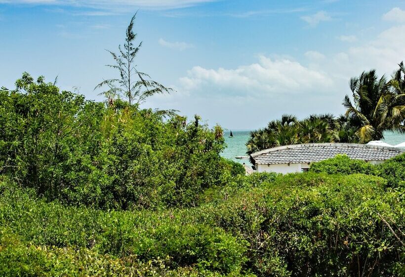 Отель Vilanculos Beach Lodge