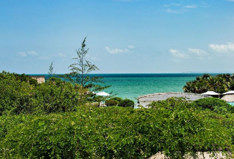 Отель Vilanculos Beach Lodge