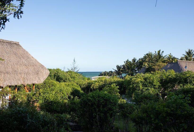 Отель Vilanculos Beach Lodge