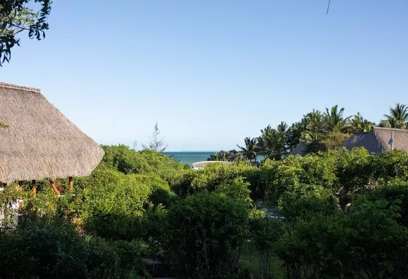 ホテル Vilanculos Beach Lodge