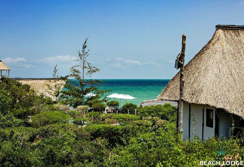 Отель Vilanculos Beach Lodge