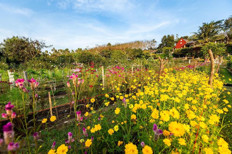 بنسيون Phu Vara