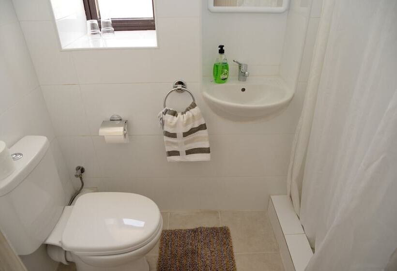 پانسیون White Star