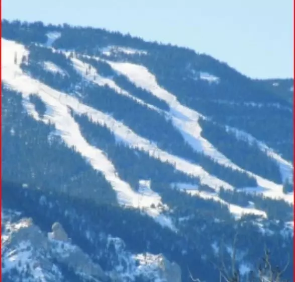 ベッドアンドブレックファースト Gallagher S Irish Rose