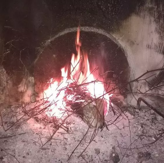 ホテル Agriturismo Il Cavallone