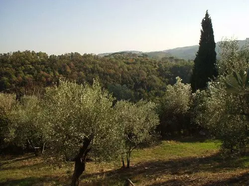 ホテル Agriturismo Il Cavallone