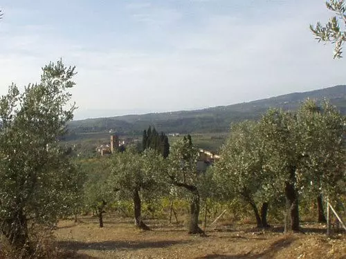ホテル Agriturismo Il Cavallone